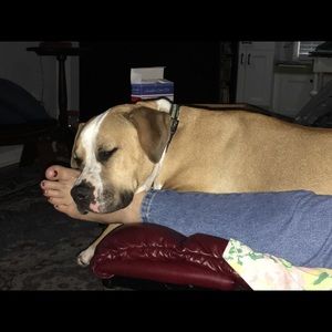 Meet your Posher, Bryan